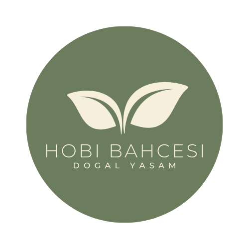 Hobi Bahçesi